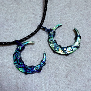 Abalone Curls