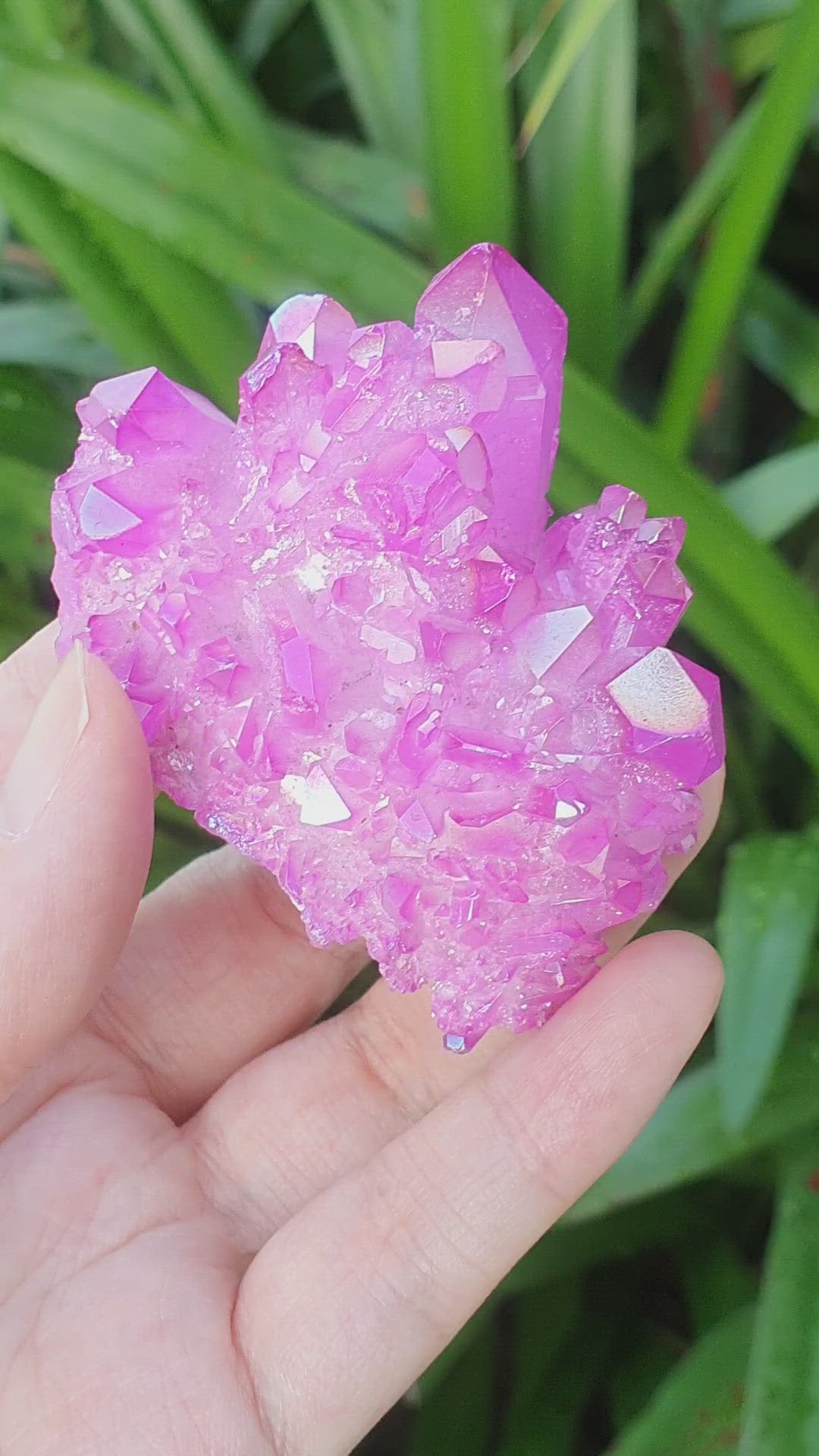 Rose Aura Quartz