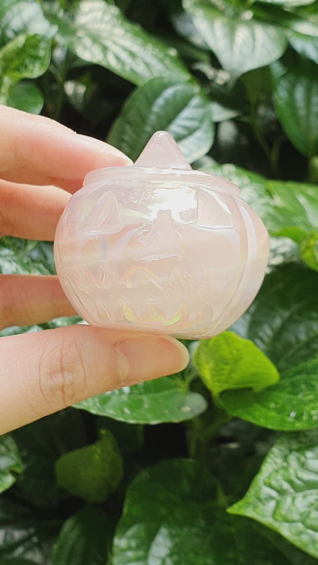 Aura Rose Quartz Pumpkin
