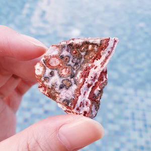 Leopard Jasper