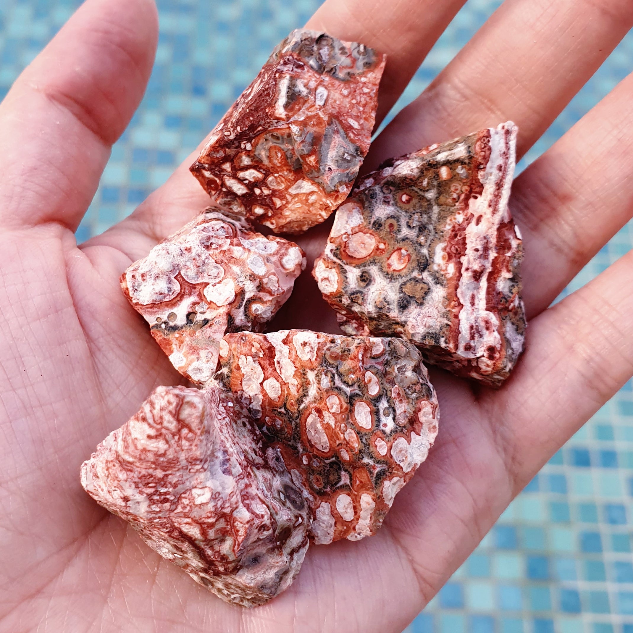 Leopard Jasper