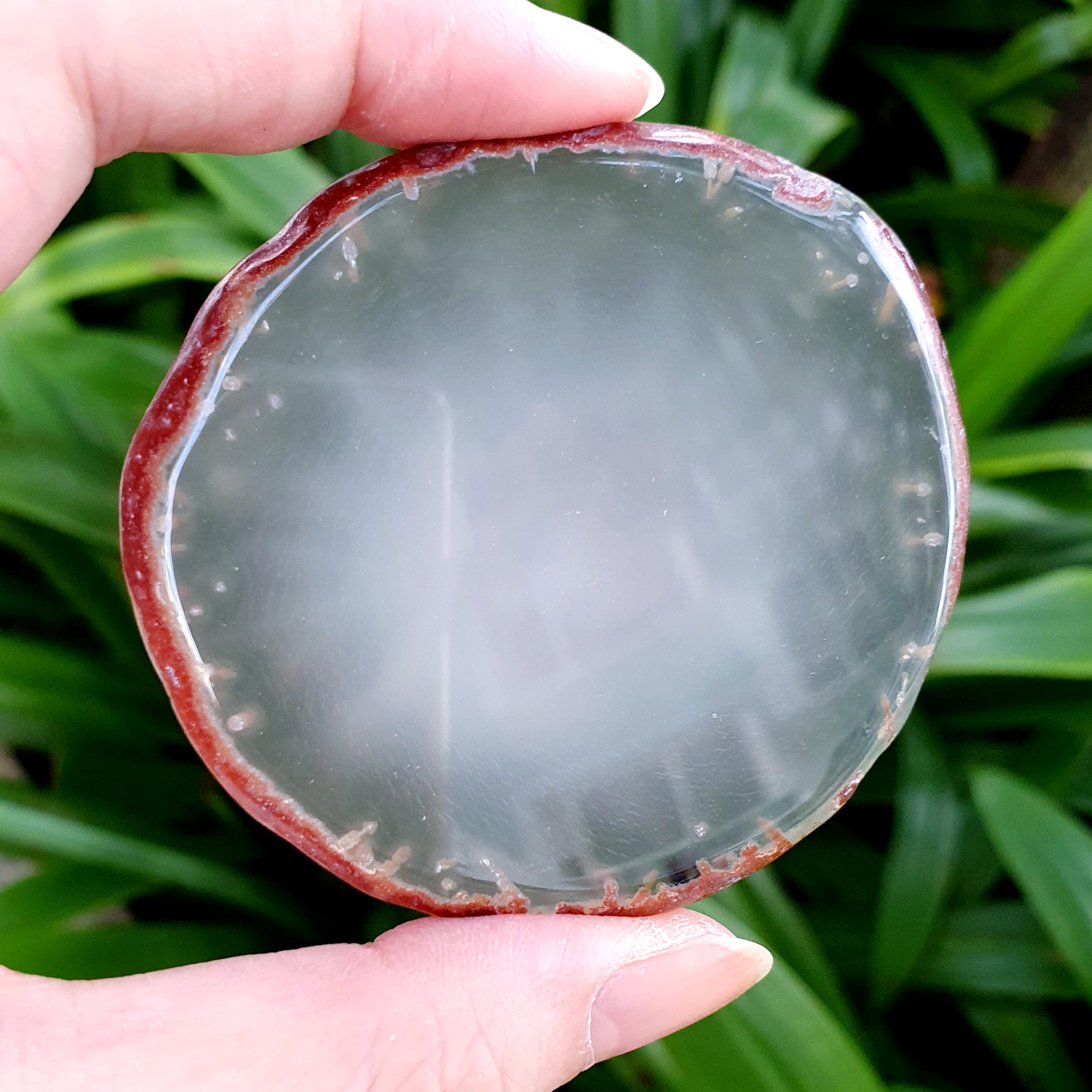 Brown Brazilian Agate Slice