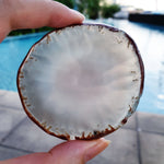 Load image into Gallery viewer, Brown Brazilian Agate Slice
