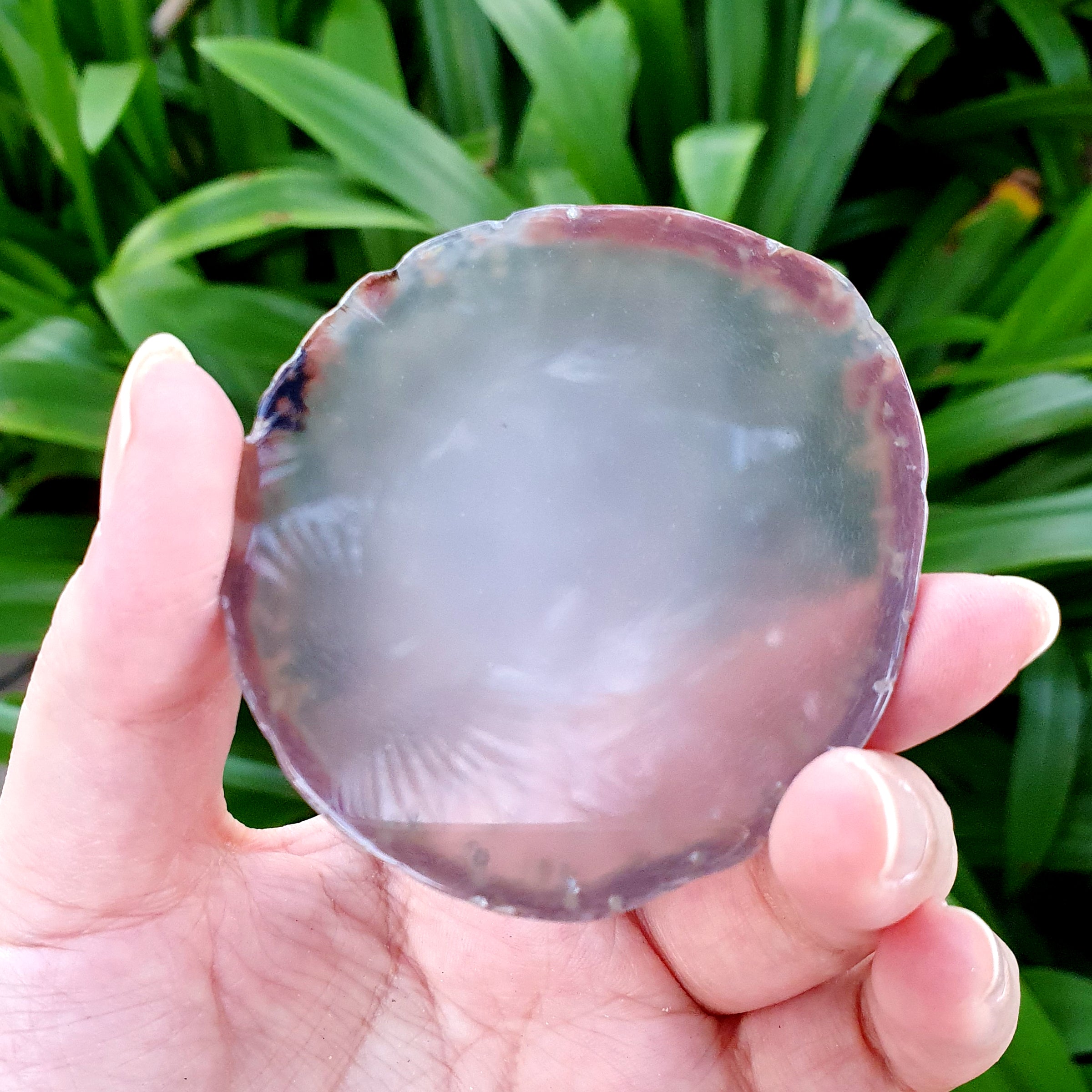 Brown Brazilian Agate Slice