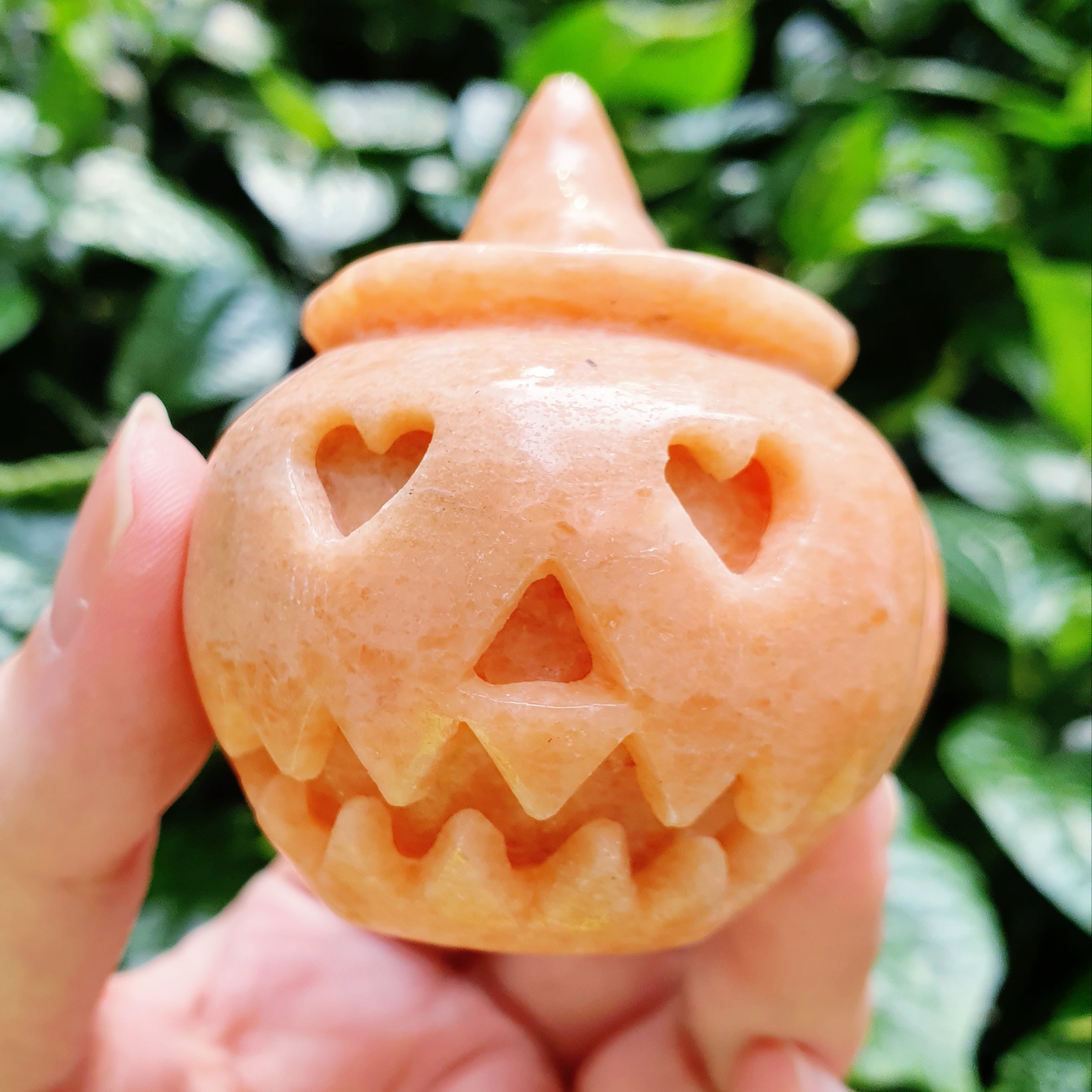 Carrot Jade Pumpkin A