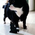 Load image into Gallery viewer, Black Obsidian Kitty
