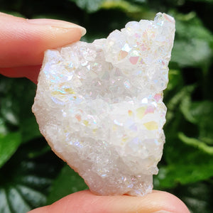 Angel Aura Quartz D