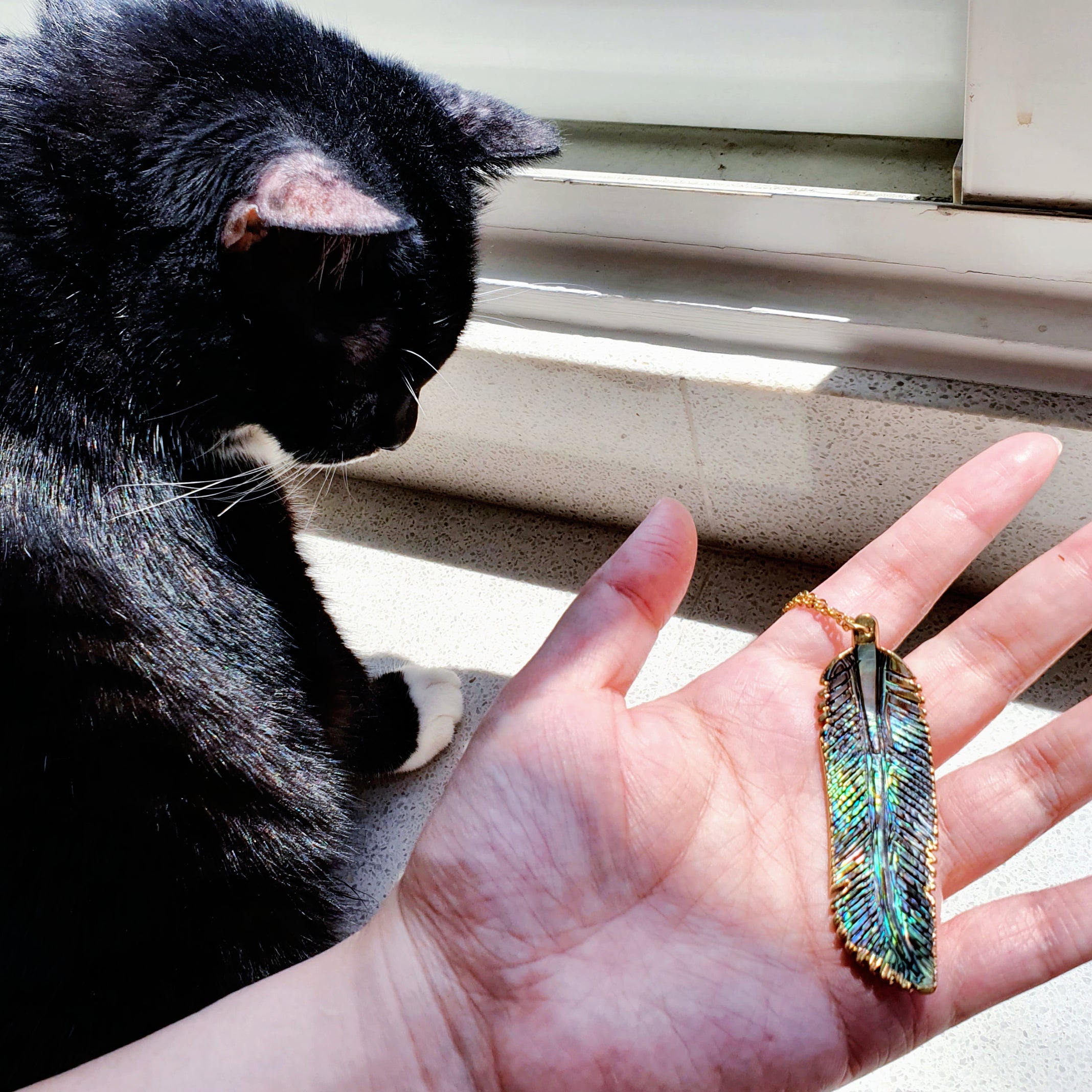 Iridescent Abalone Feather